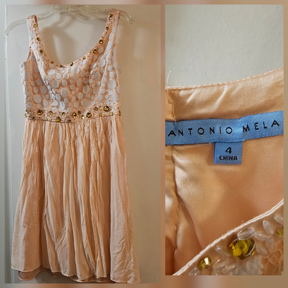 Antonio Melani Blush Sleeveless Dress with Gold Accents